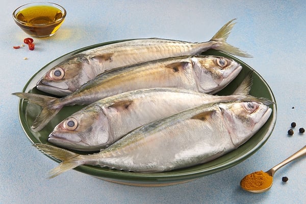 Mackerel / Ayala / Bangda / Aylai  1 (lb)