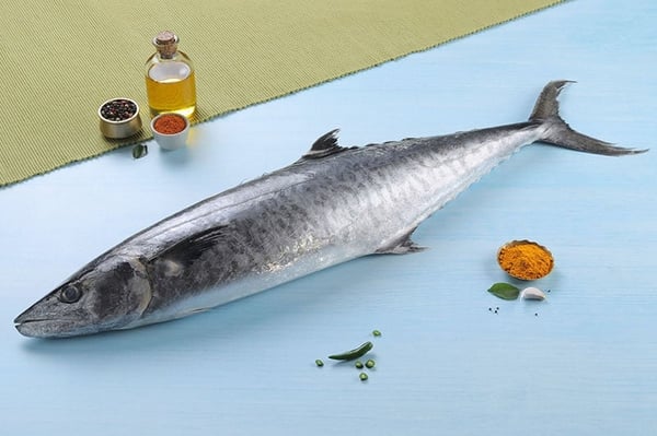 Seer Fish / KingFish / Surmai / Neymeen / Vanjaram / Anjal 1 (lb)